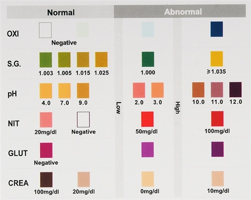 12 Panel Drug Test Two-Sided CLIA Waived with Adulterants