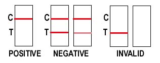 T-cup Drug Test Results Reading Chart